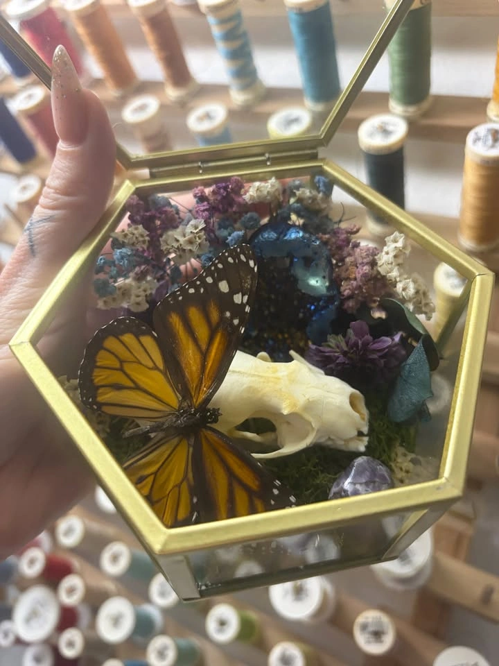 Butterfly and Crystal Terrarium with Mink Skull - photo 5