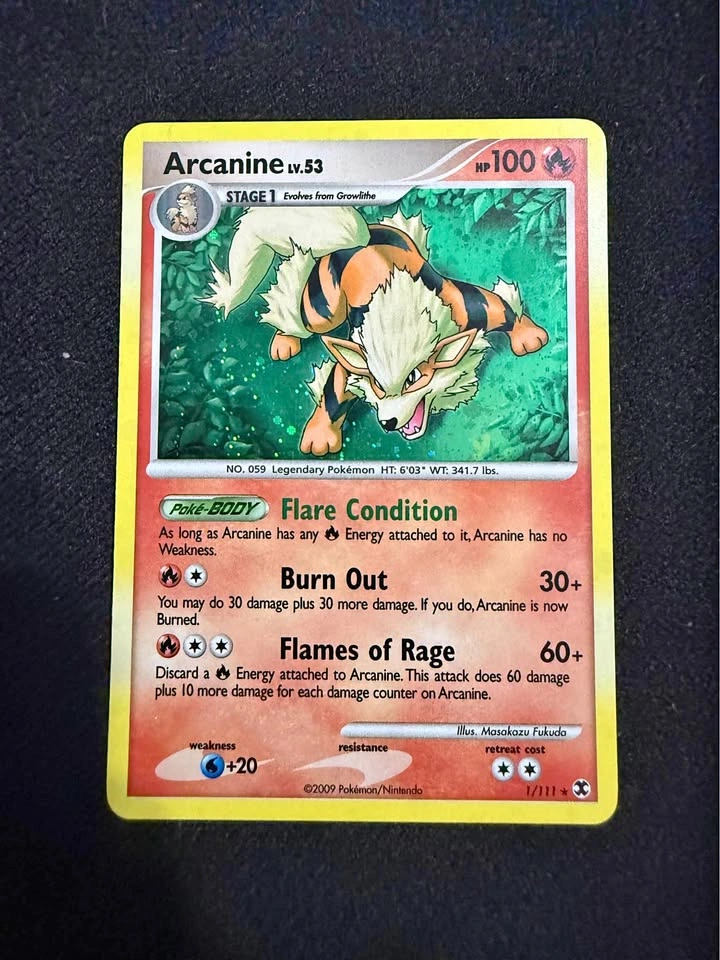 Arcanine - rising rivals -NM