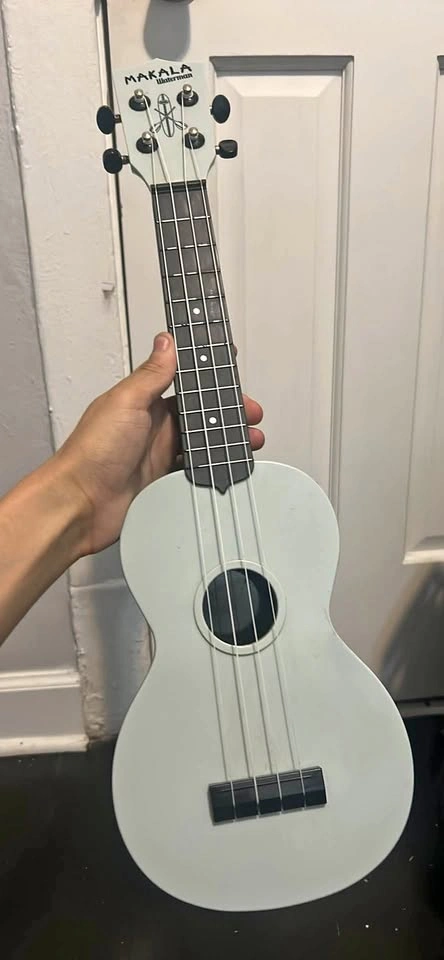 Plastic Ukelele
