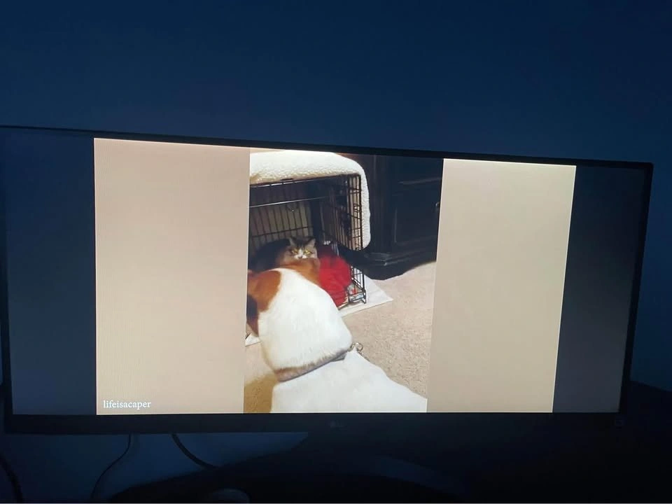 LG 29" Ultrawide Monitor - photo 3