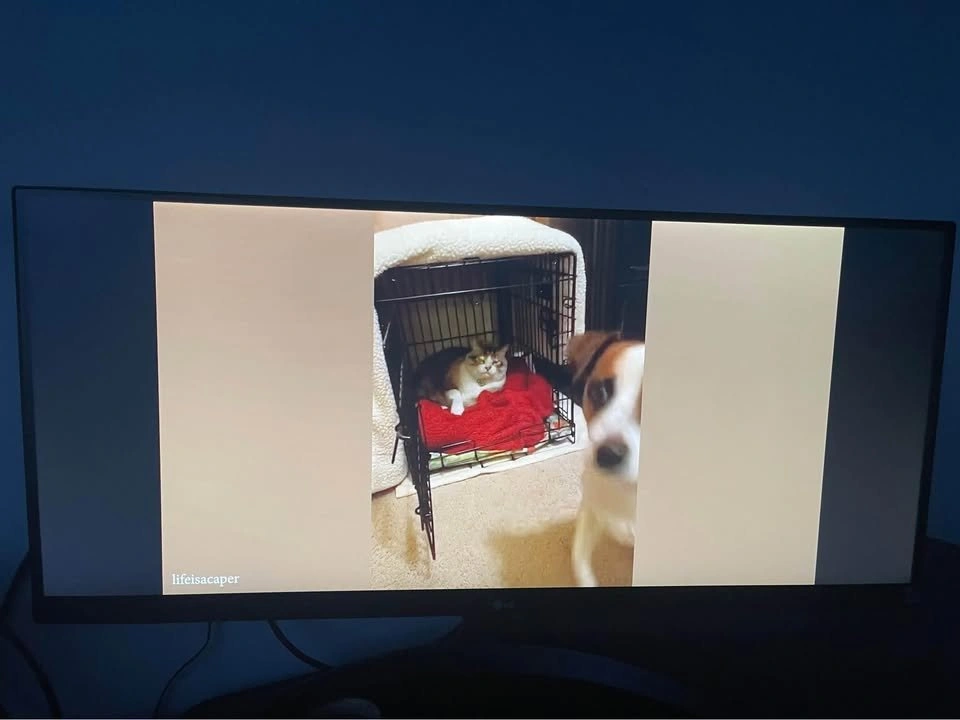 LG 29" Ultrawide Monitor - photo 4