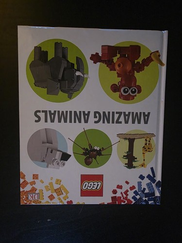 DK LEGO Hardcover Book Lot of 7 Castles Animals Vacations Town - photo 5