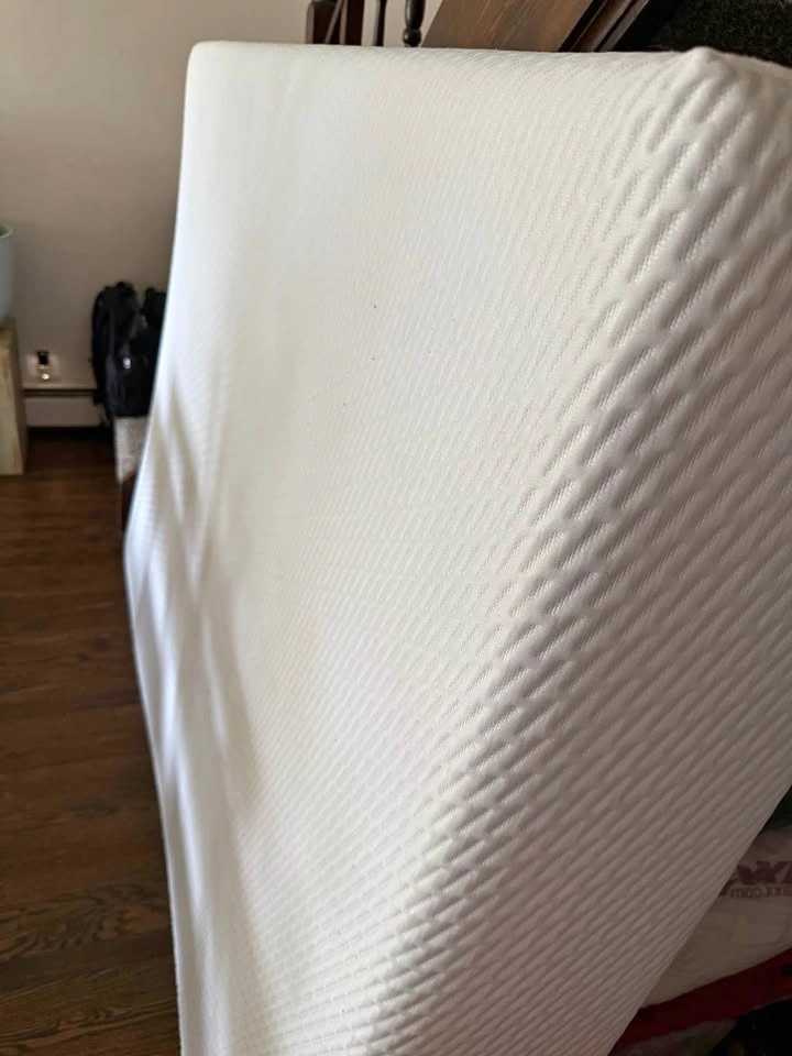 Tuft and Needle Memory Foam Mattress