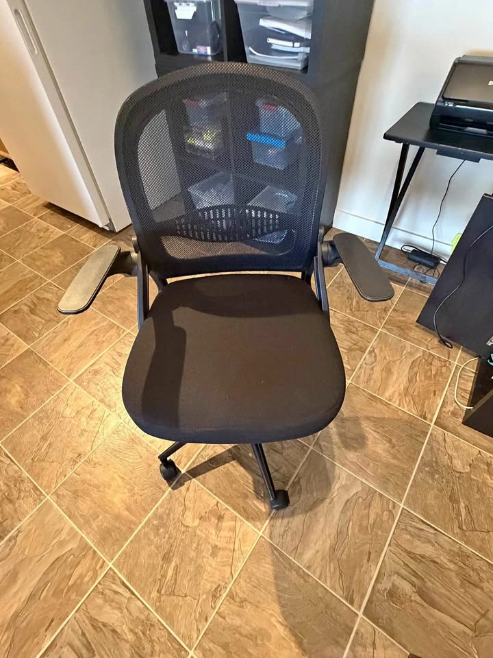 Ergonomic Office Chair