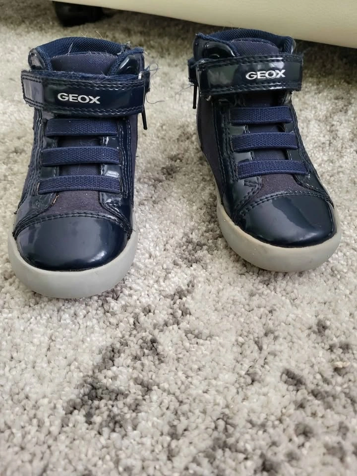 Toddler High Top Sneaker - Geox