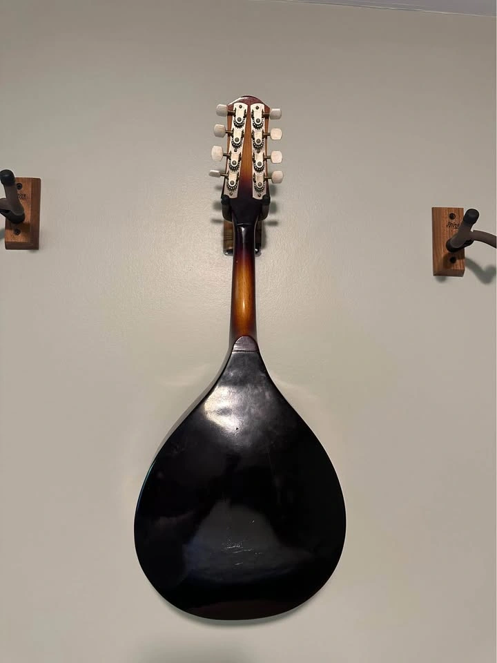Mandolin - photo 2