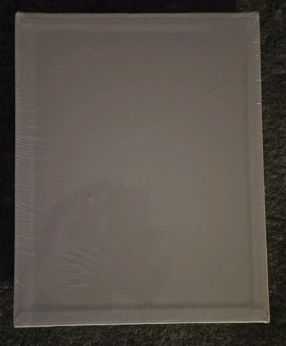 8" X 10" 12 Pack Canvas Panels Pre-Primed Acid-Free - photo 2