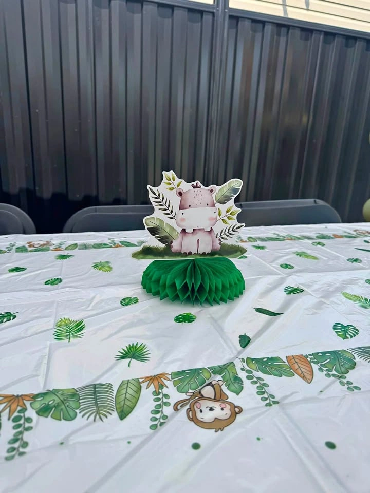 Safari Jungle Wild One 1st Birthday Party Decorations Set