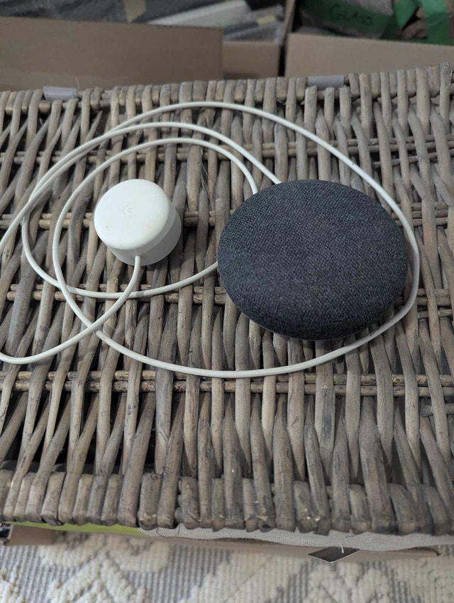 Google Nest Mini