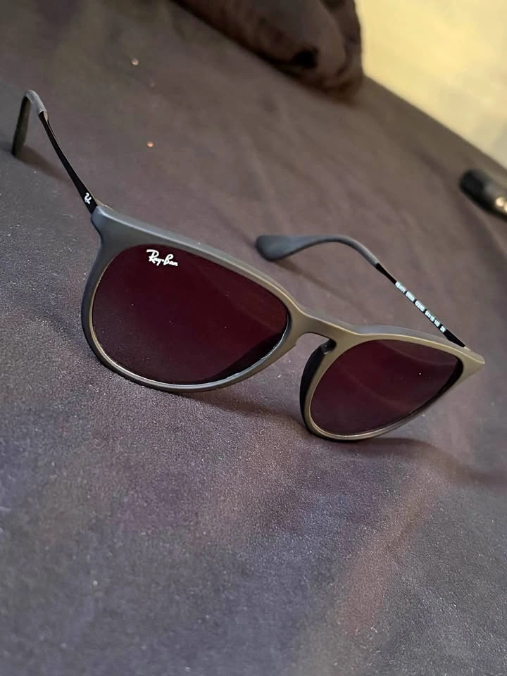 Ray-Ban Erika Sunglasses