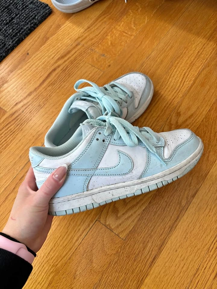 nike dunks