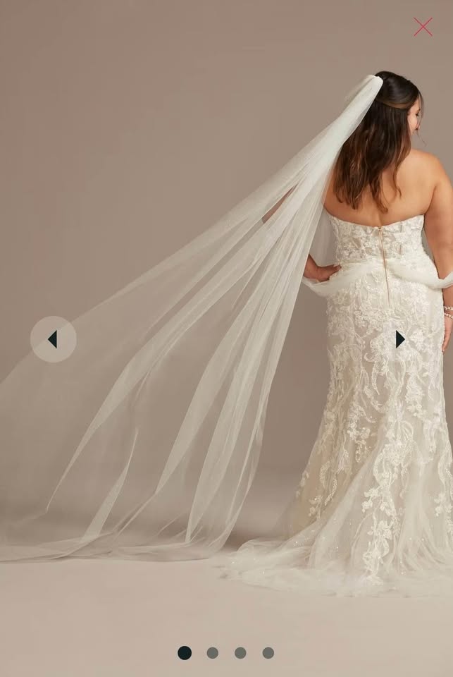 Cathedral Raw edge Veil Soft white & ivory - photo 2