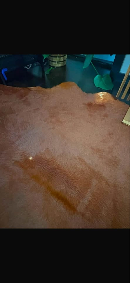 IKEA KOLDBY Cowhide Rug / Carpet - photo 3