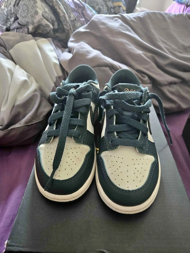 Nike Dunk Lows (Size 11C)