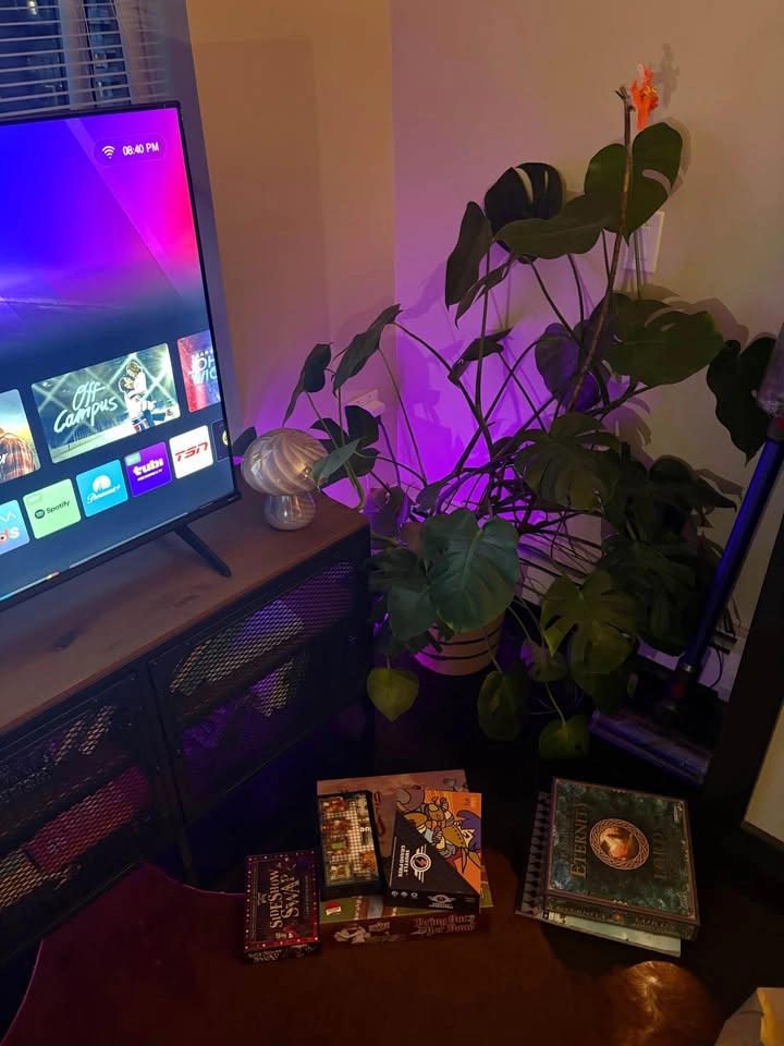 Monstera Deliciosa Indoor Plant with a woven rope planter basket - photo 4