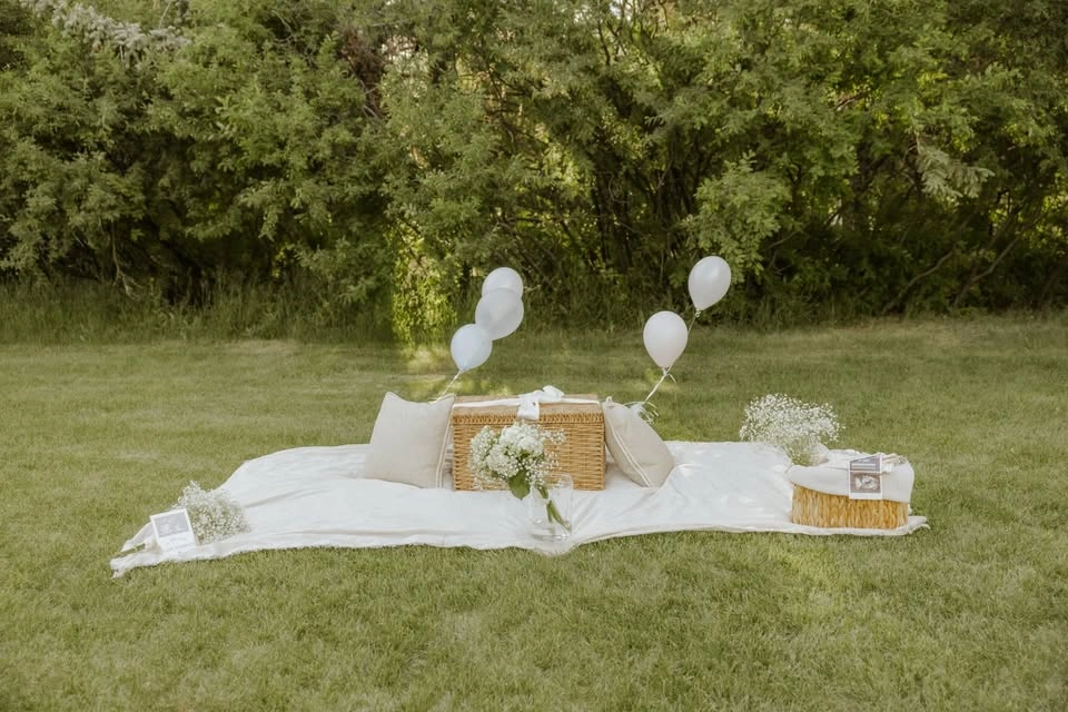 Photo ready gender reveal basket and picnic setups - photo 3