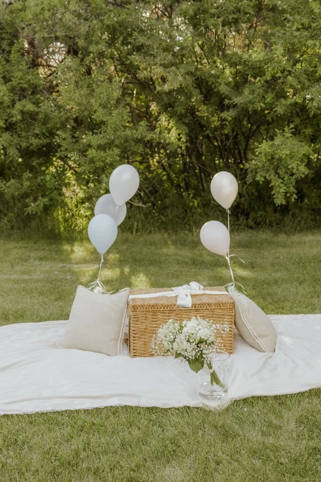 Photo ready gender reveal basket and picnic setups - photo 4