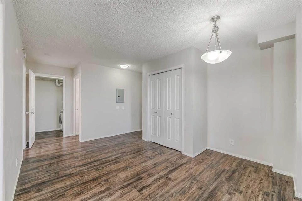 2 Beds 1 Bath - Apartment - photo 5