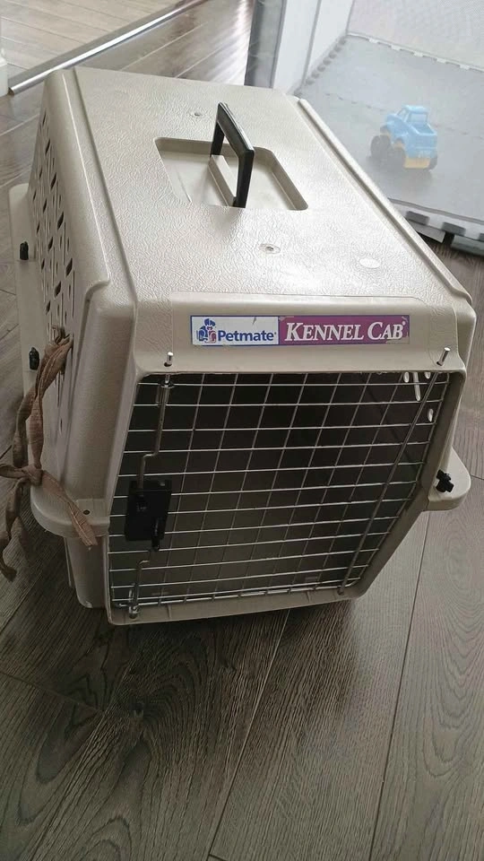 Petmate Pet Carrier for Dog or Cat - photo 3