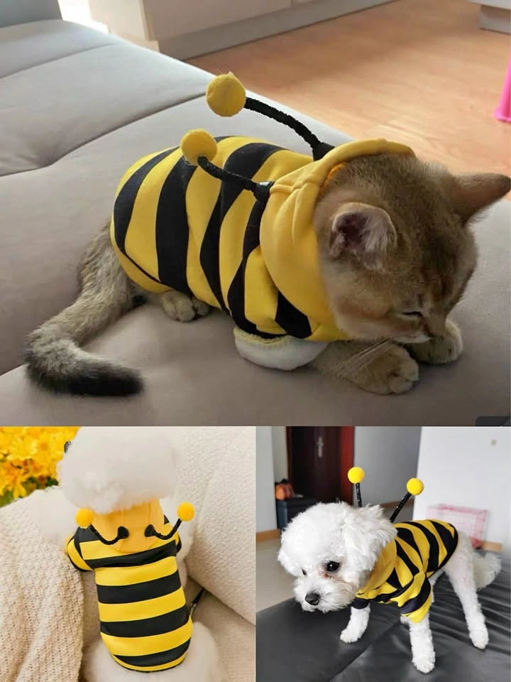Brand new pet hoodie