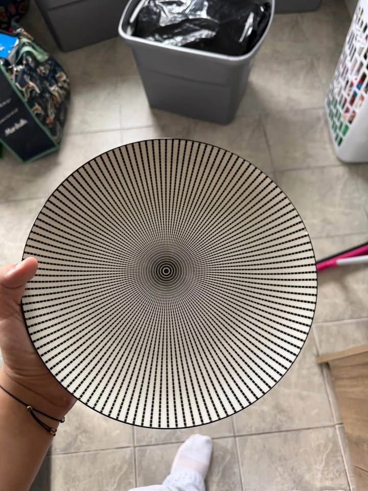 Dining Plate Set - Moving Sale - photo 2