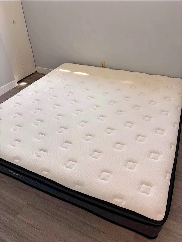DreamTech King Mattress — Moving Out, need gone asap