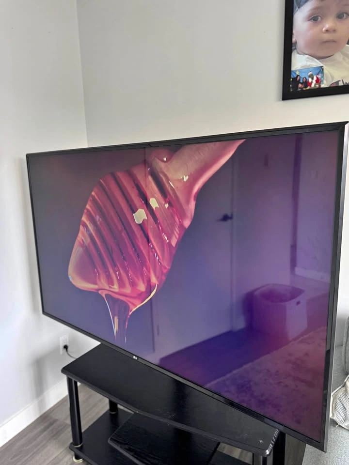 65” LG TV w/ VESA Mount (No Legs) | OBO