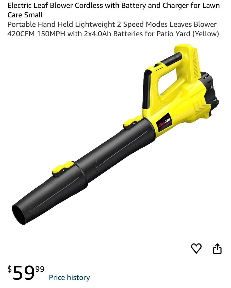 Cordless Electric Leaf Blower with 2x 21V Batteries