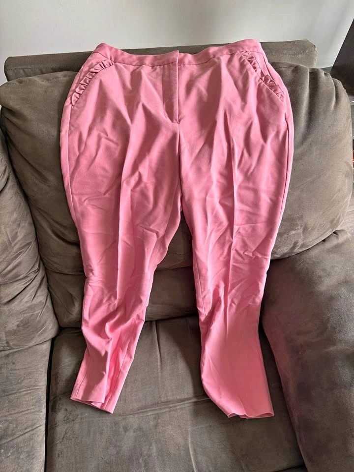 Zara Basic Pink Trousers