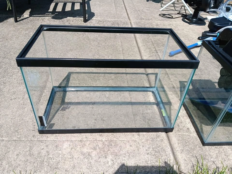 10 gallon tank - photo 3
