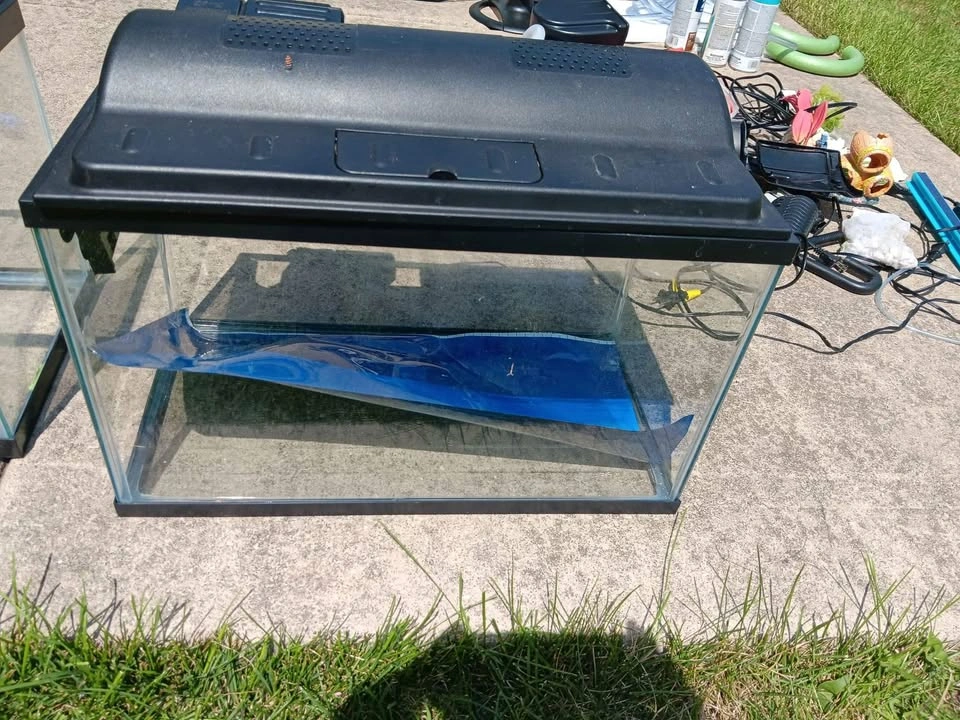10 gallon tank - photo 4