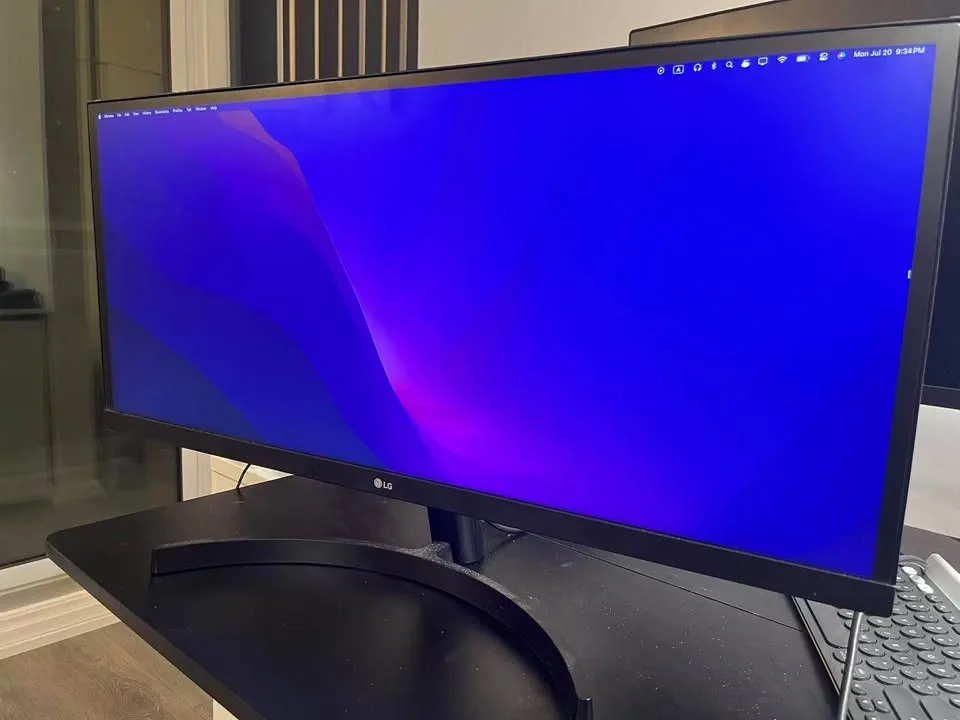 LG 29” UltraWide Monitor - photo 2
