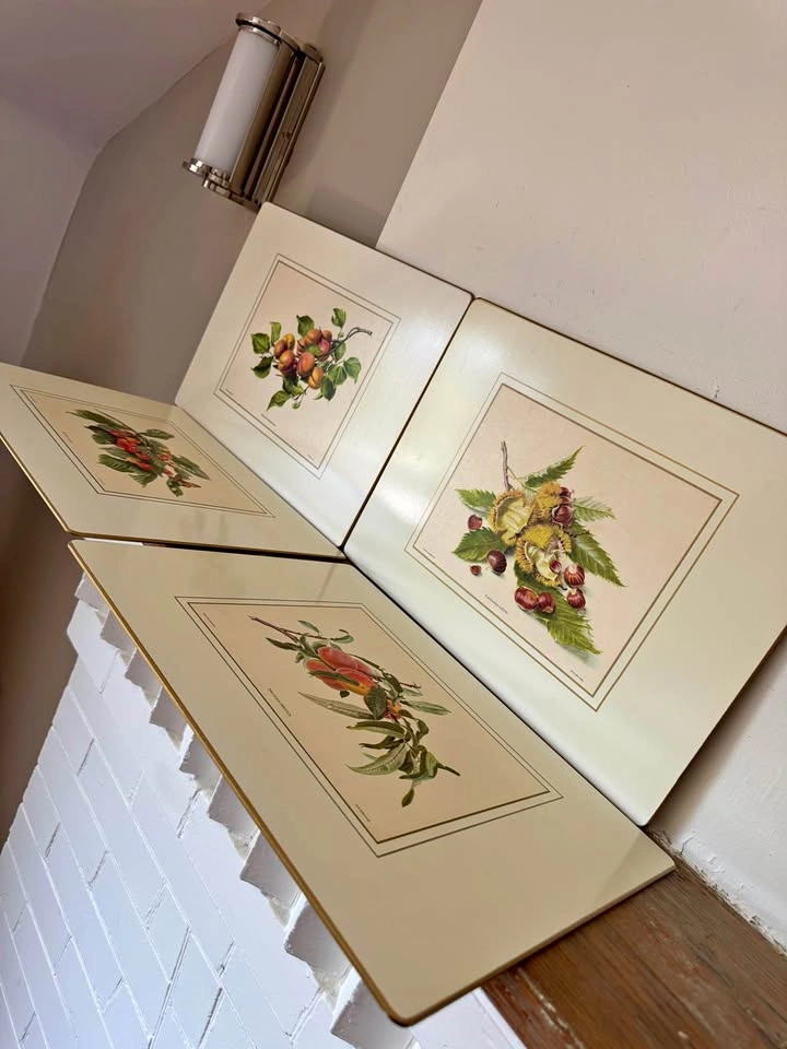 Set of 4 Vintage Somerset Botanical Fruit Placemats (Boxed)