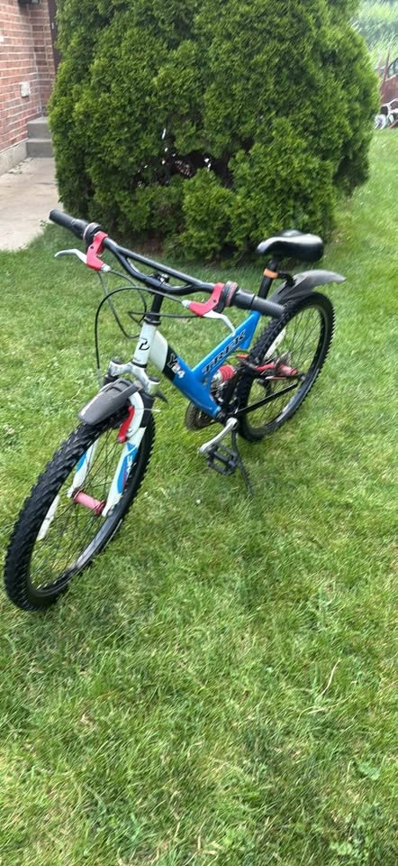 Trek y 24 - photo 4