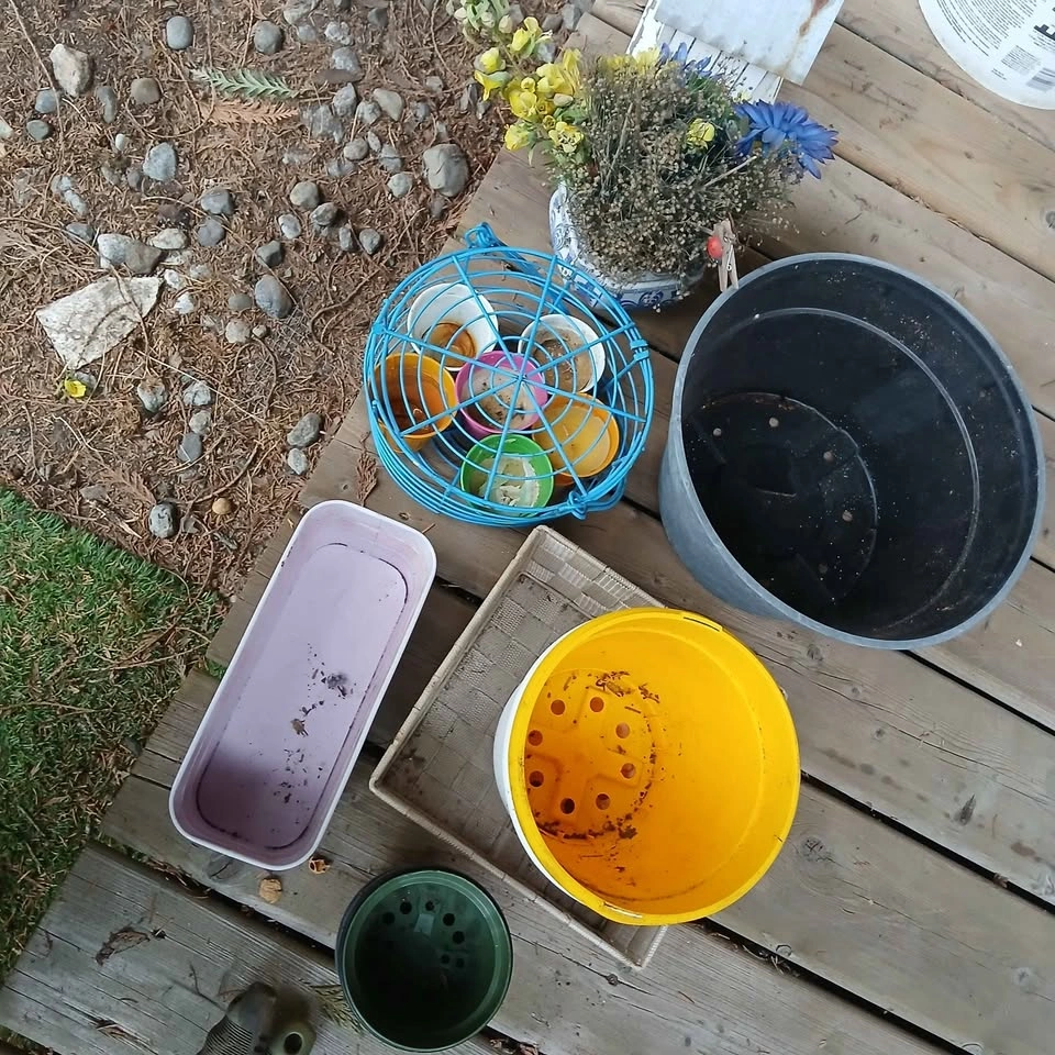 FREE Garden pots and bird house - photo 2