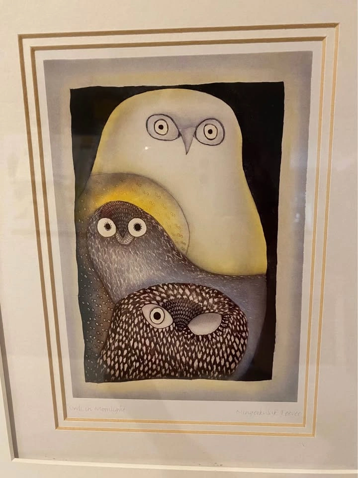Owls in Moonlight Framed Print - photo 2