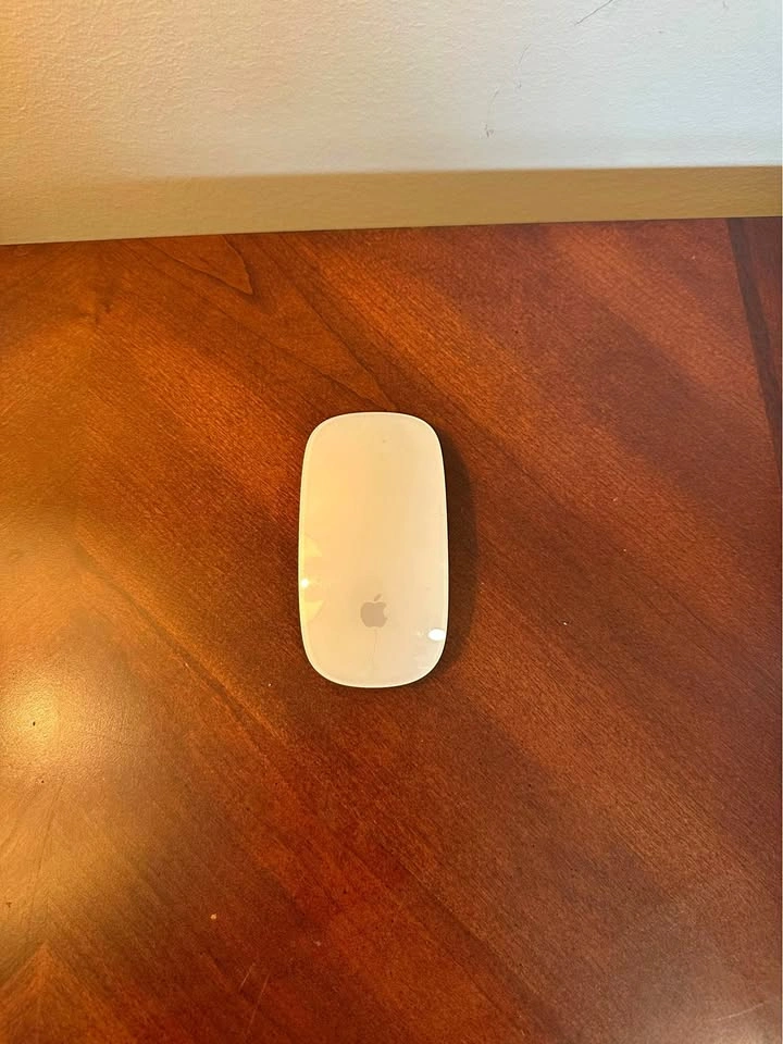 Apple Magic Mouse 1