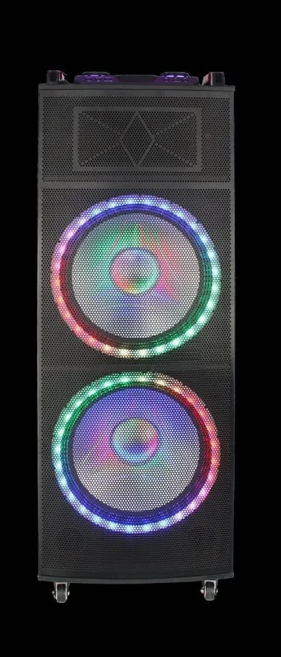 Bass & Karaoke Speaker - Professional Portable Sound System - photo 3