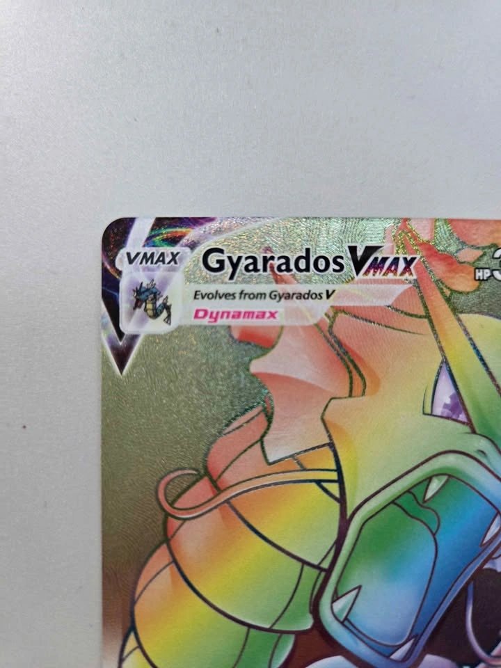 Gyarados Vmax evo skies 207/203 - photo 3