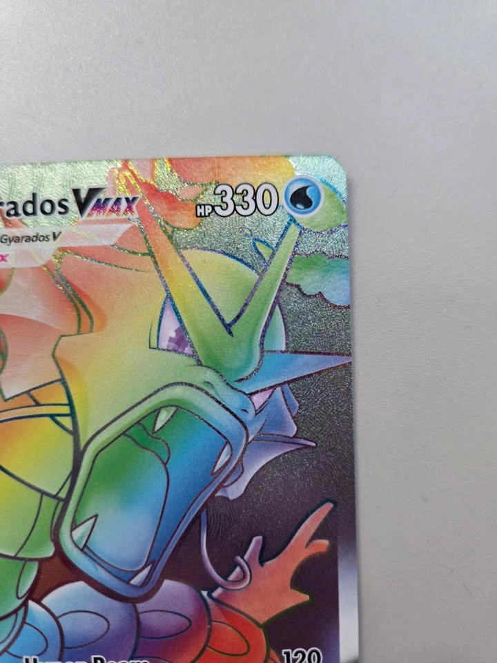 Gyarados Vmax evo skies 207/203 - photo 4