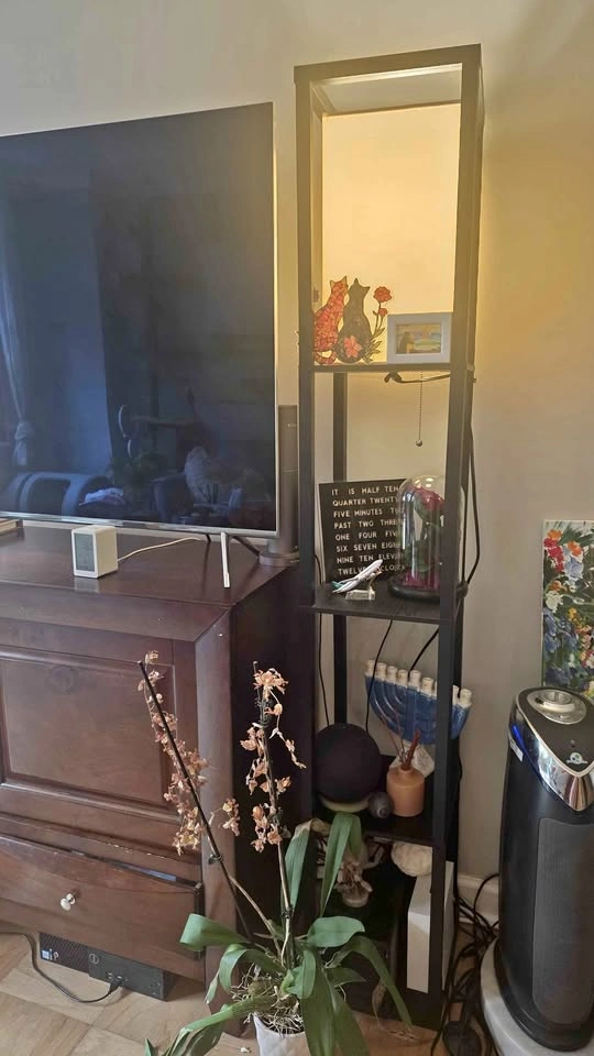 Black Shelf Floor Lamp