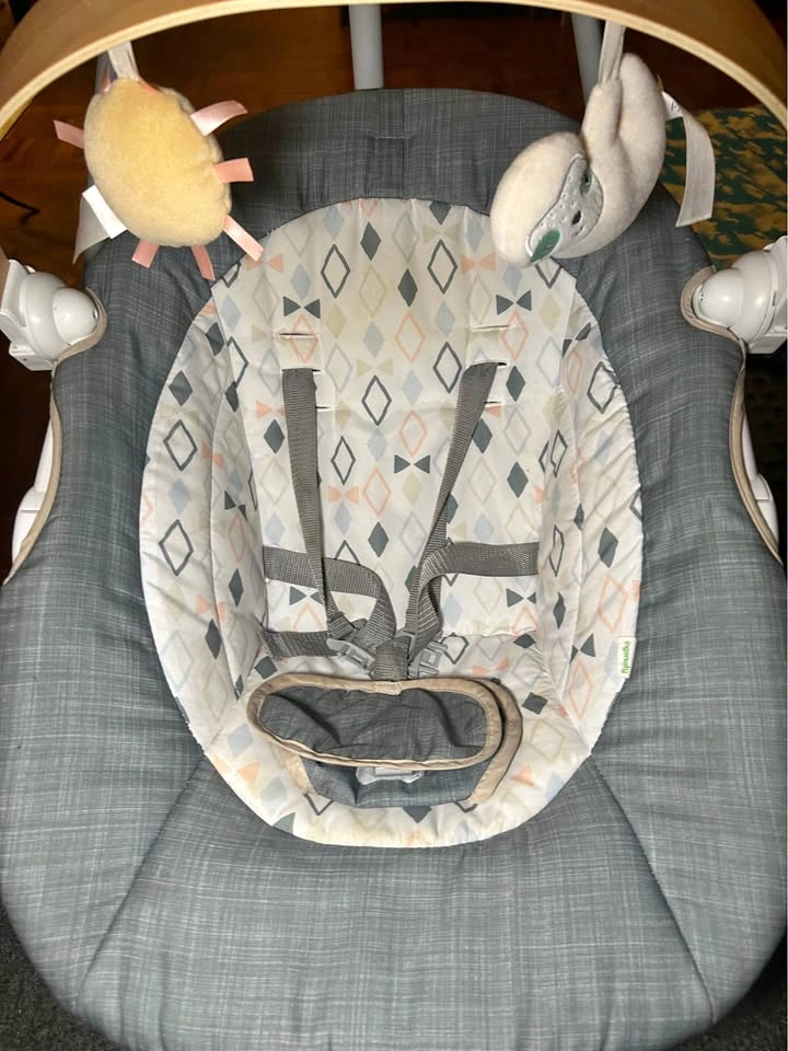Baby Swing