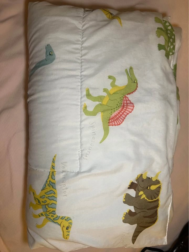 Toddler Dinosaur Bedding Set 4 PC - photo 5