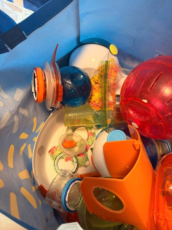 Hamster bundle - photo 3