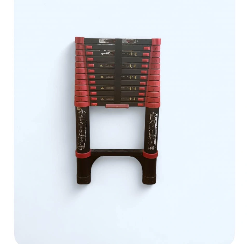 LADDER - photo 2