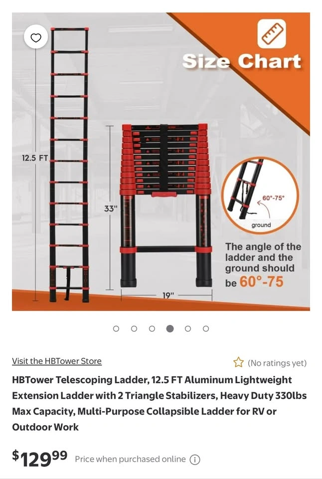 LADDER - photo 3