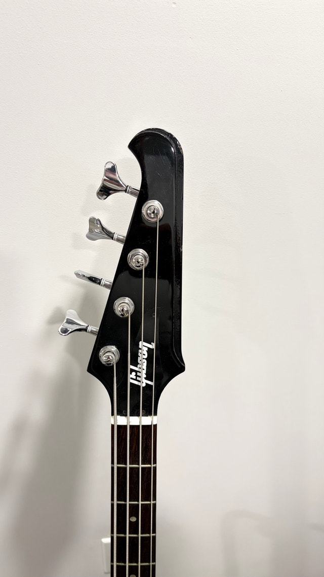 Gibson Thunderbird - photo 3