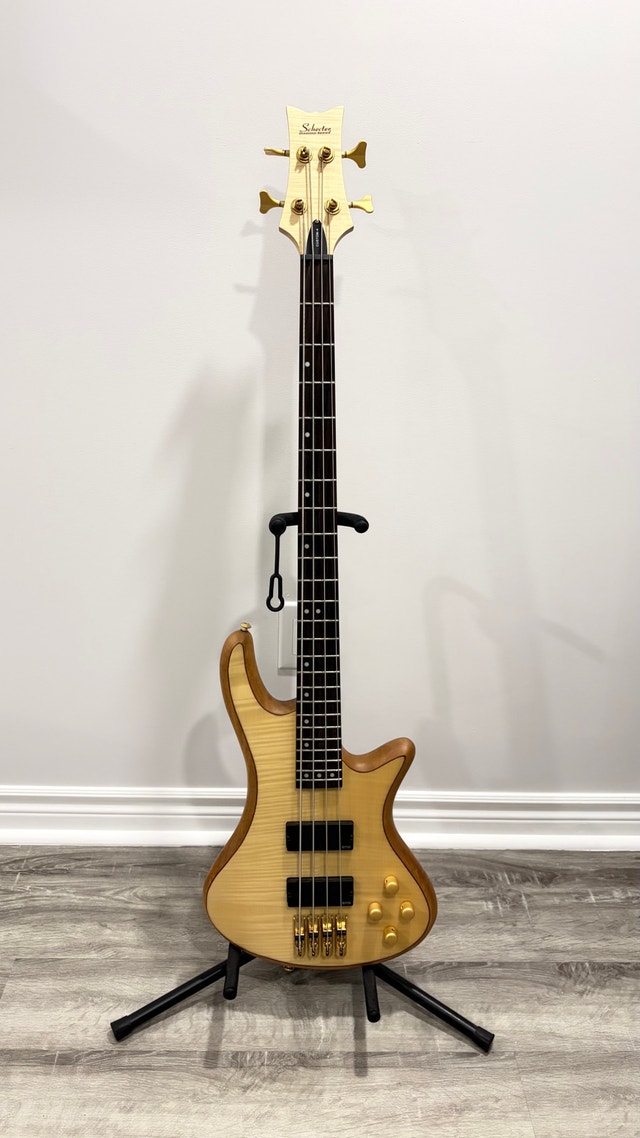 Schecter Diamond Series Custom-4