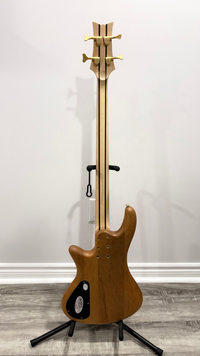 Schecter Diamond Series Custom-4 - photo 3