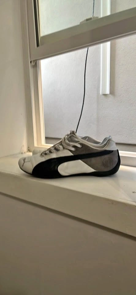 Puma future cats